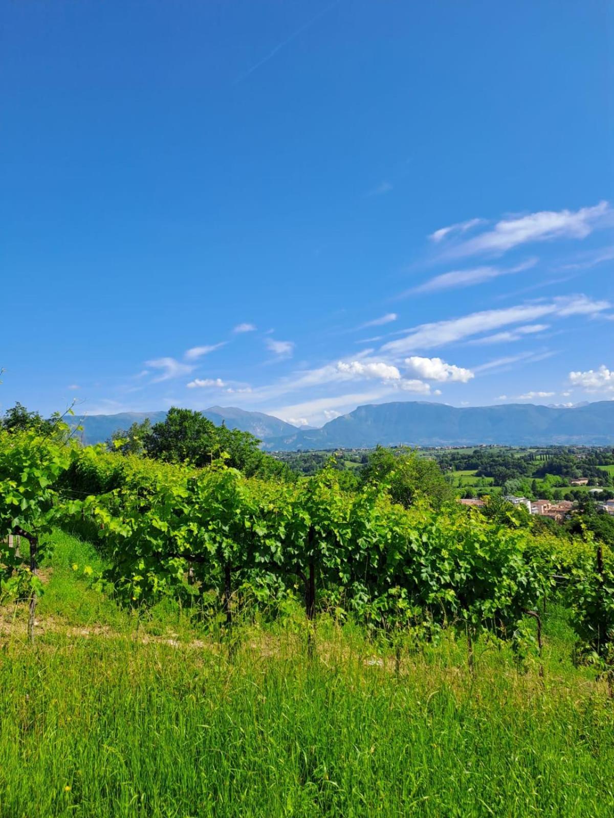 Casa Di Tuco Bed & Breakfast Conegliano Exterior foto